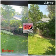 Window Cleaning Services in Longmont, CO