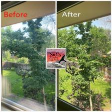 Window Cleaning Services in Longmont, CO 6
