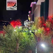 CarpetOne-Boulder-Christmas-Lights 0