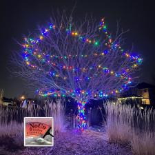 Christmas-Lights-in-Broomfield 3