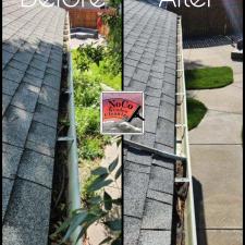 Denver-CO-Gutter-Cleaning 0