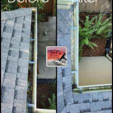 Denver-CO-Gutter-Cleaning 3