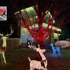 Frederick-CO-Christmas-Lights-Trees 0