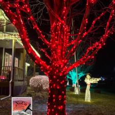 Frederick-CO-Christmas-Lights-Trees 2
