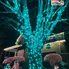 Frederick-CO-Christmas-Lights-Trees 3