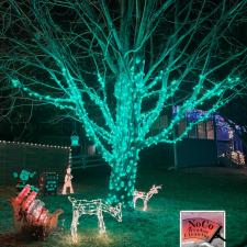 Frederick-CO-Christmas-Lights-Trees 4