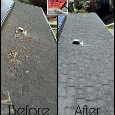 Top-Quality-Pigeon-Clean-up-and-Critter-Guard-Installation-in-Westminster-Colorado 1